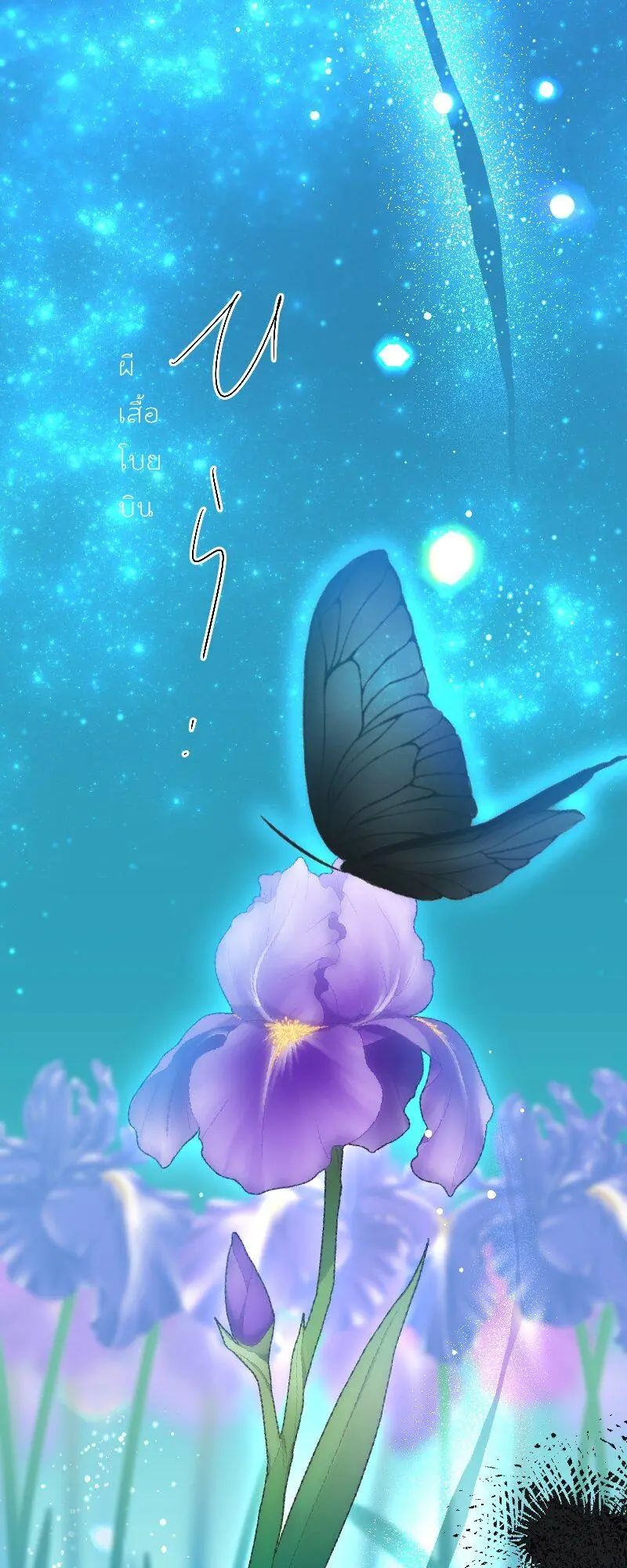 เจ้าสาวไร้เสียงกับมังกรดำ ตอนที่ 1 หน้า 2