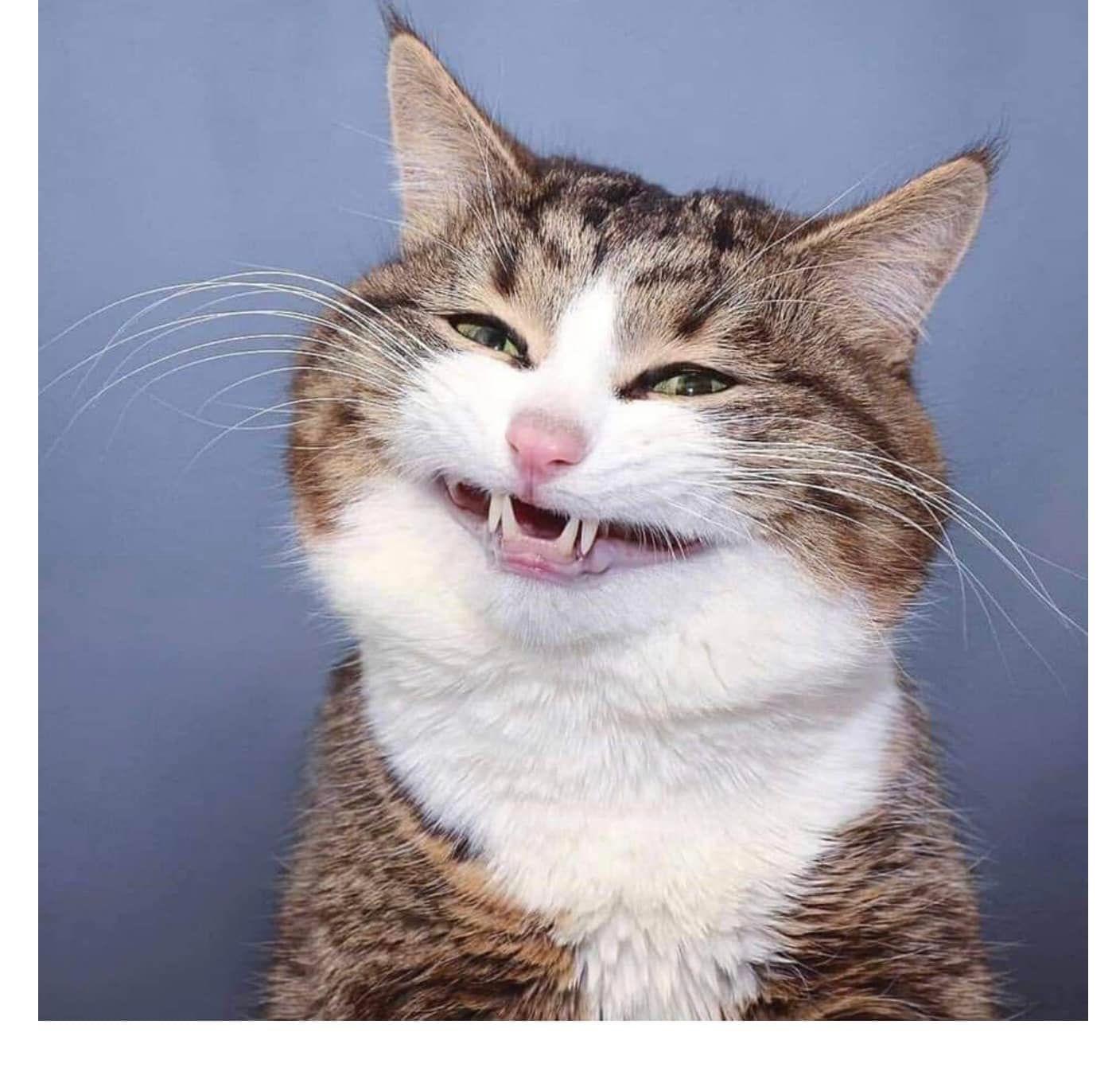 เทพวายร้ายกลับชาติมาเกิดใหม่ ตอนที่ 73 หน้า 31