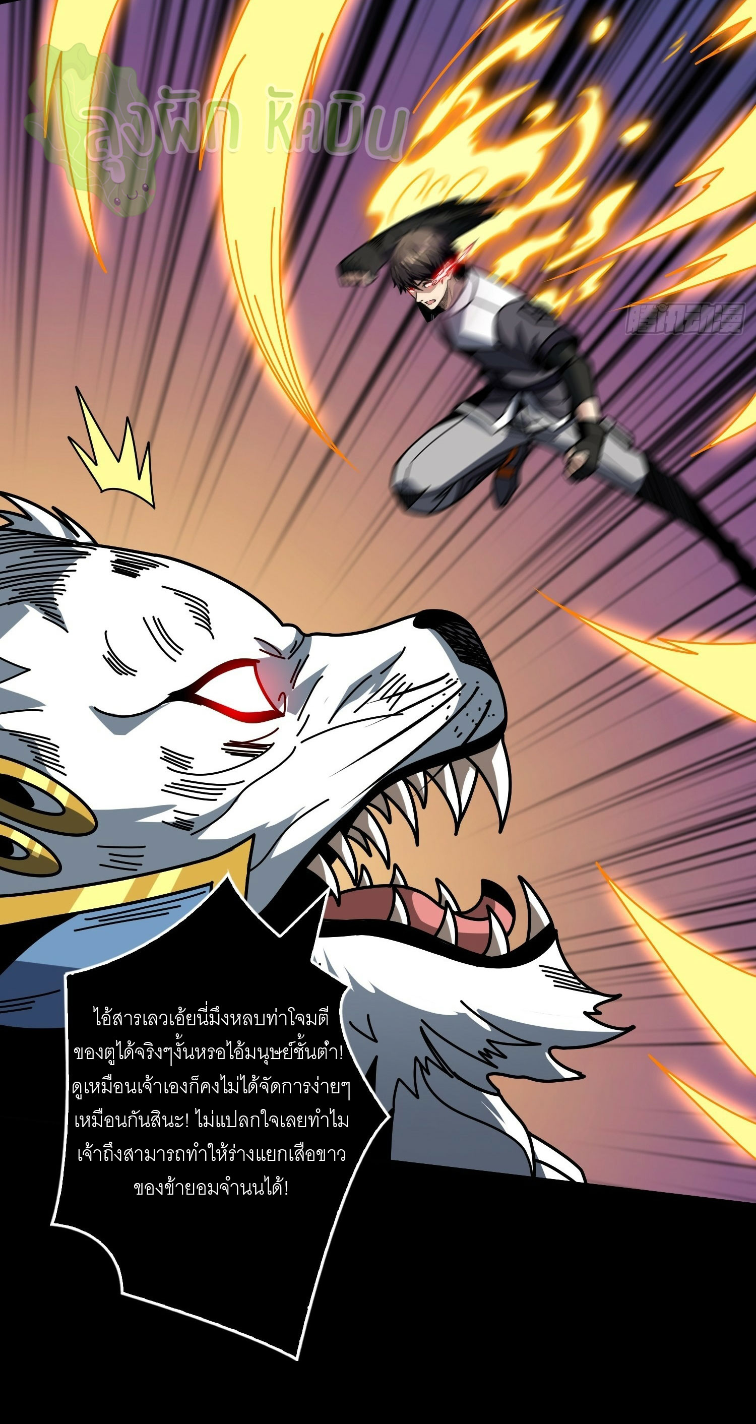 (ชนจีน) IT STARTS WITH A KINGPIN ACCOUNT - จุติจอมราชัน ตอนที่ 442 หน้า 12