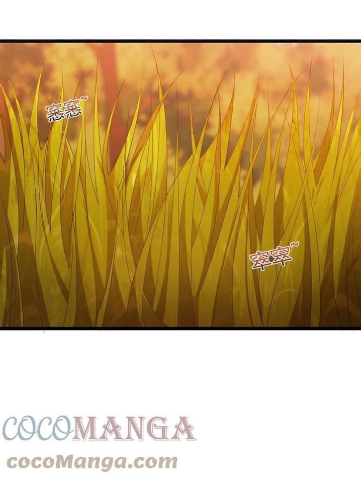 เทพวายร้ายกลับชาติมาเกิดใหม่ ตอนที่ 108 หน้า 13