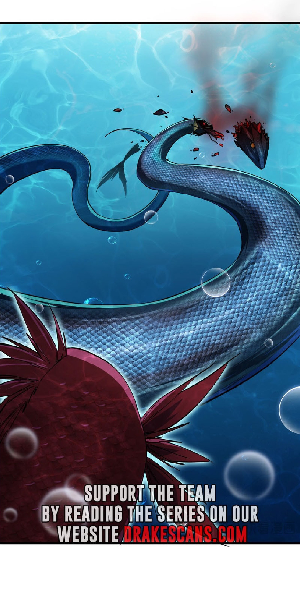 การวิวัฒนาการจากปลาคาร์พสู่มังกร ตอนที่ 4 หน้า 14