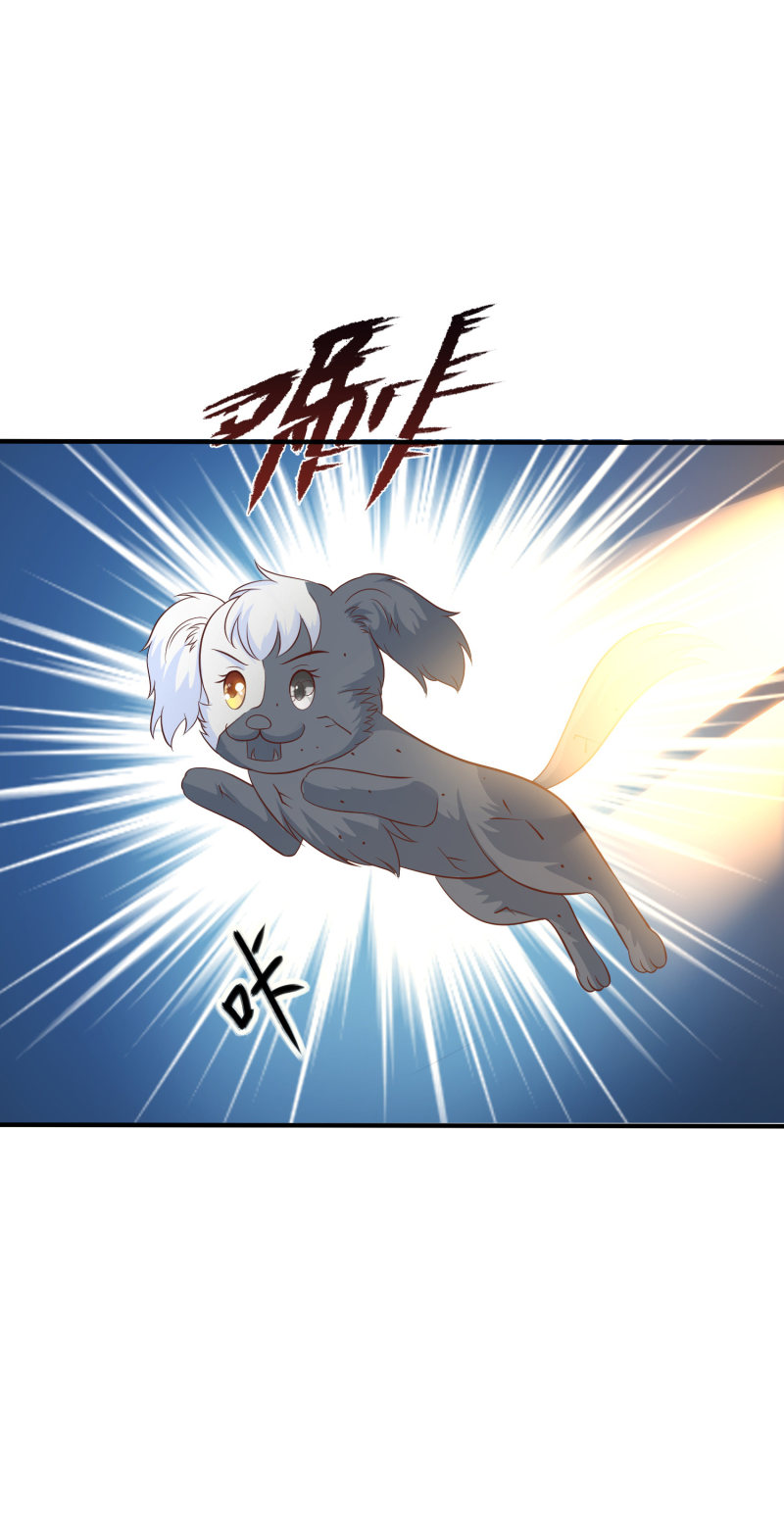 ราชาดอกไม้อมตะ ตอนที่ 81 หน้า 19