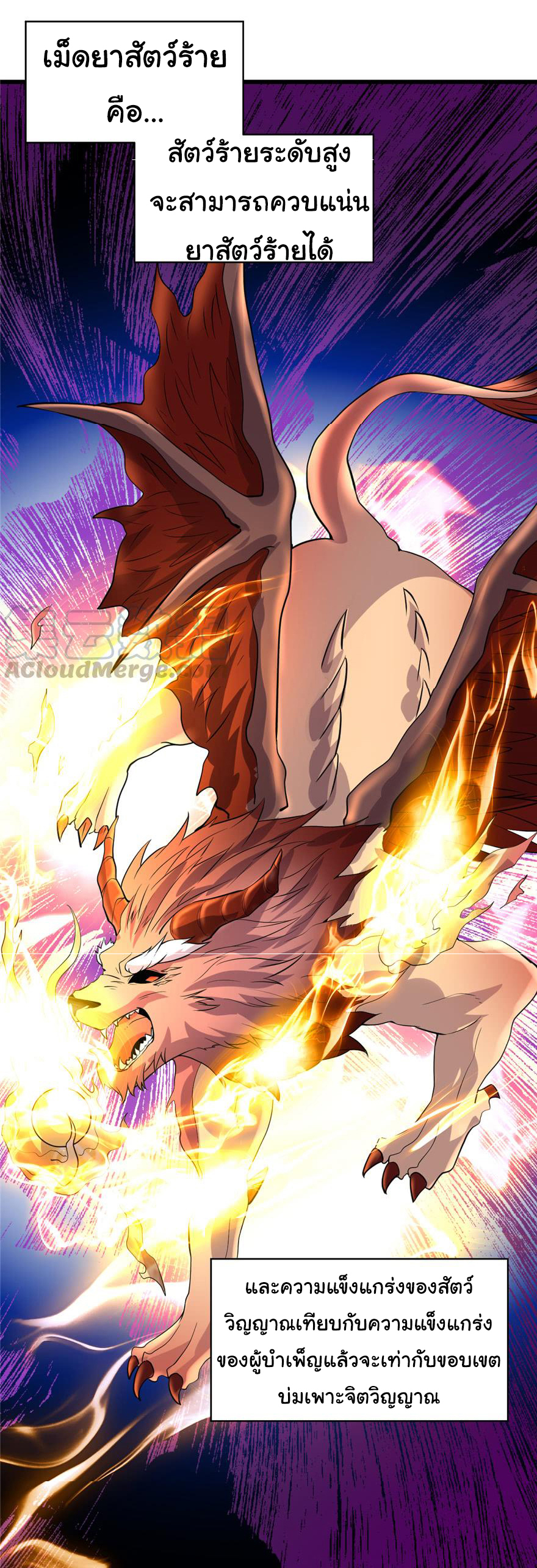 I might be a fake fairy ตอนที่ 50 หน้า 25