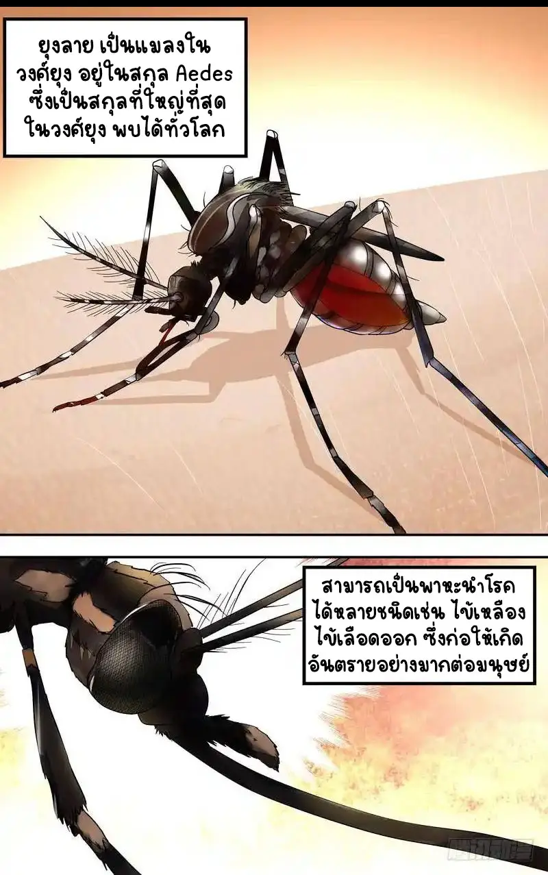  Metamorphosis ตอนที่ 14 หน้า 3