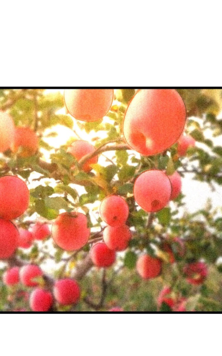 ย้อนเวลา 1983 กลับไปเป็นเศรษฐี ตอนที่ 13 หน้า 6