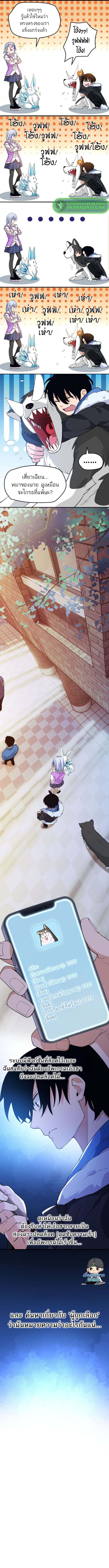 ระบบฝึกสัตว์วิญญาณหมาป่าปลอม ตอนที่ 3 หน้า 15