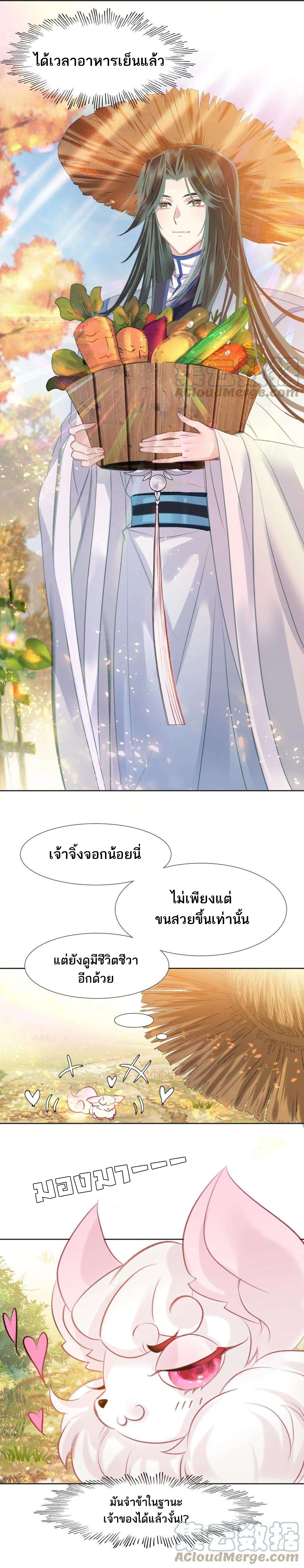 แท้จริงแล้วข้าคือปรมาจารย์ไร้เทียมทาน? ตอนที่ 12 หน้า 11