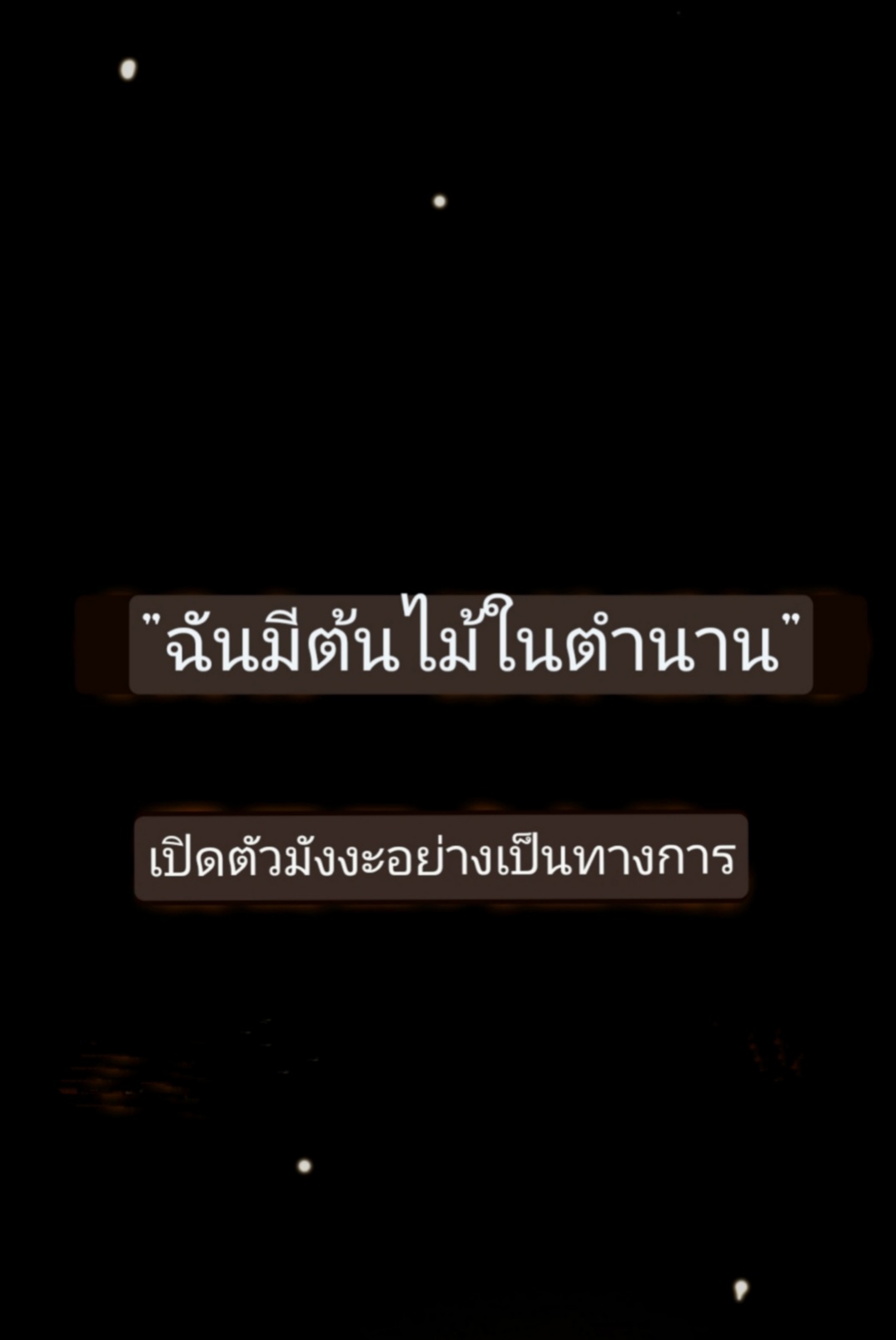 มีพลังโกงด้วยต้นไม้แห่งสววรค์ ตอนที่ 1 หน้า 24