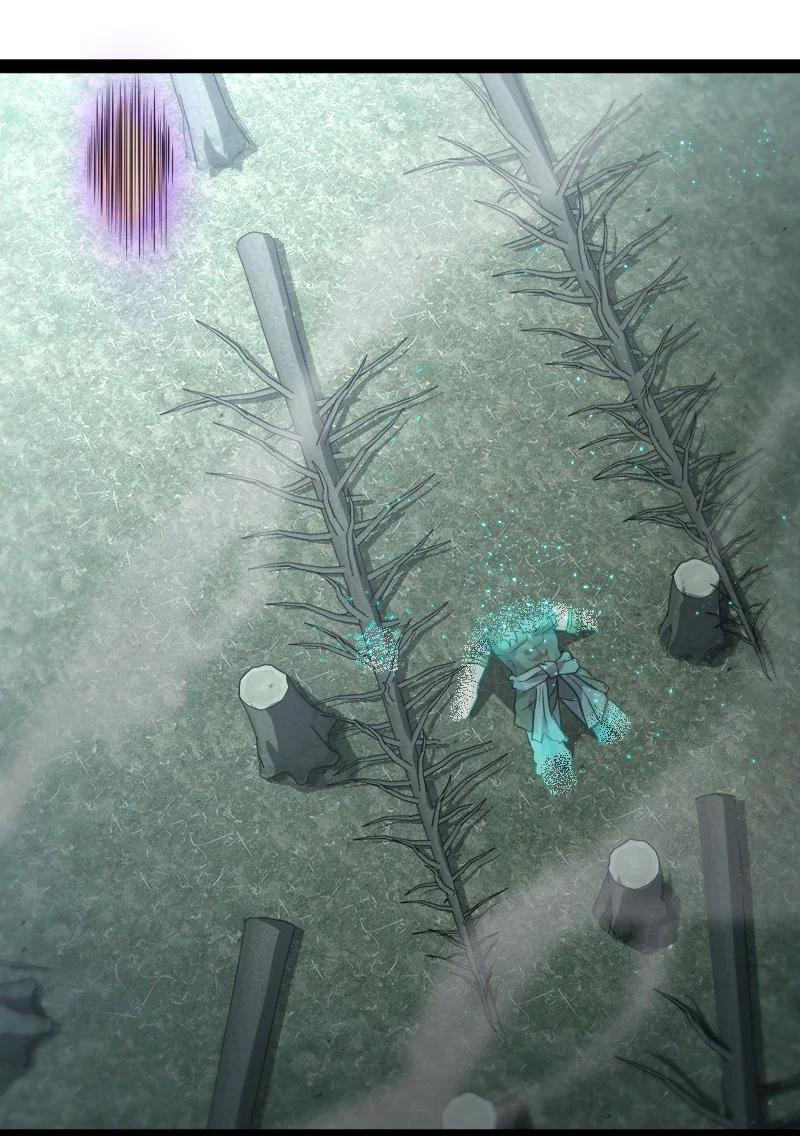 ชีวิตอันสันโดษของจักพรรดิ์หลินเกอ ตอนที่ 66 หน้า 13