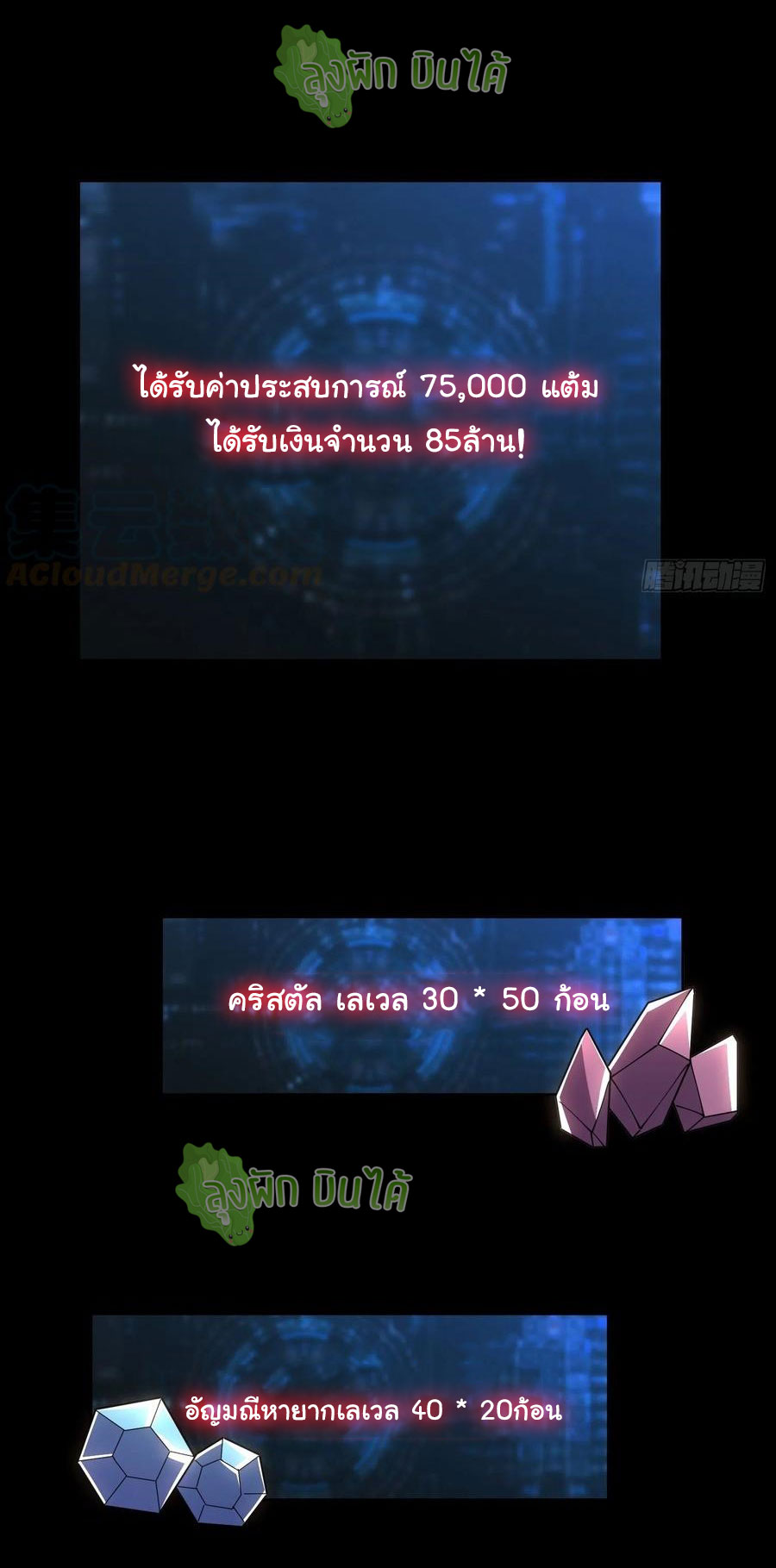 (ชนจีน) IT STARTS WITH A KINGPIN ACCOUNT - จุติจอมราชัน ตอนที่ 77 หน้า 31