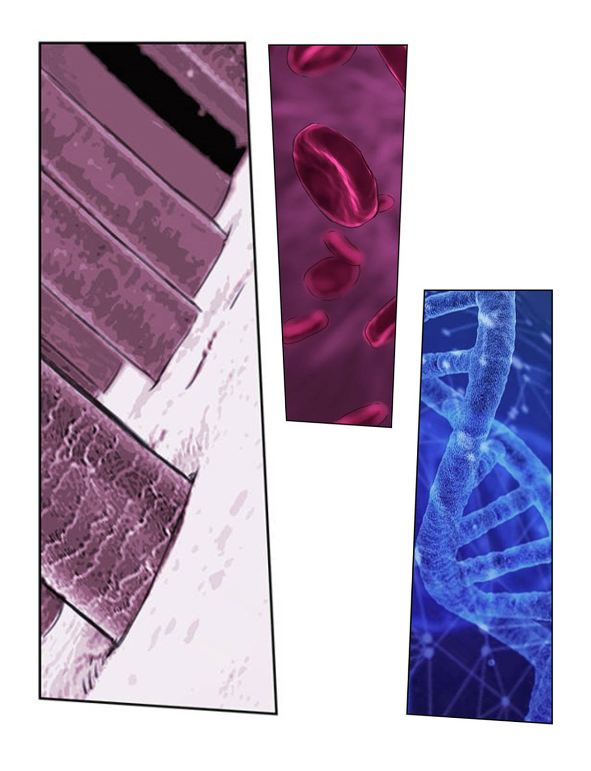 Swallowed star ศึกล้างดวงดาว ตอนที่ 81 หน้า 6