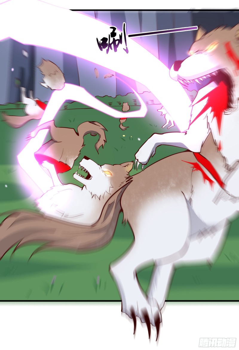 Rebirth City Deity - การเกิดใหม่ของเทพเซียนแห่งนคร ตอนที่ 25 หน้า 24