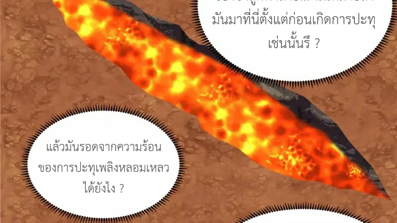 Chaos Alchemist (วิบัติการณ์เทพเซียนโอสถ) ตอนที่ 221 หน้า 5