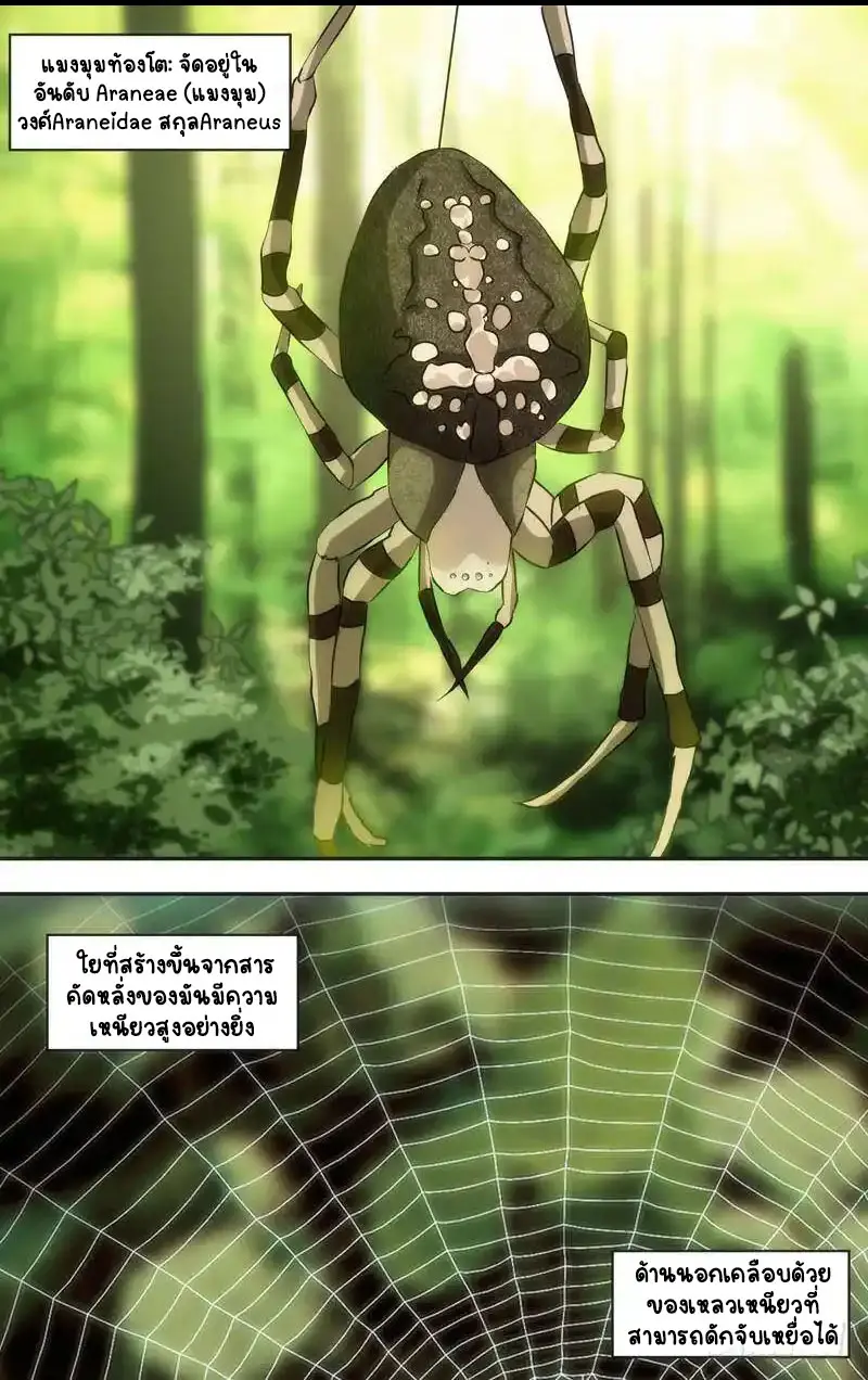  Metamorphosis ตอนที่ 44 หน้า 5