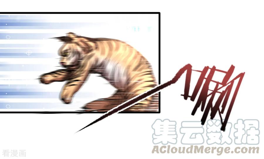 The Strongest Golden Kidney System ตอนที่ 6 หน้า 15