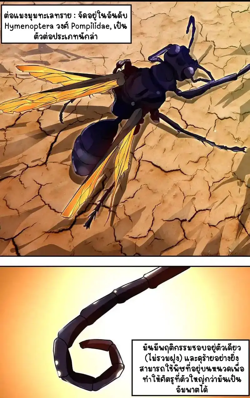  Metamorphosis ตอนที่ 27 หน้า 8