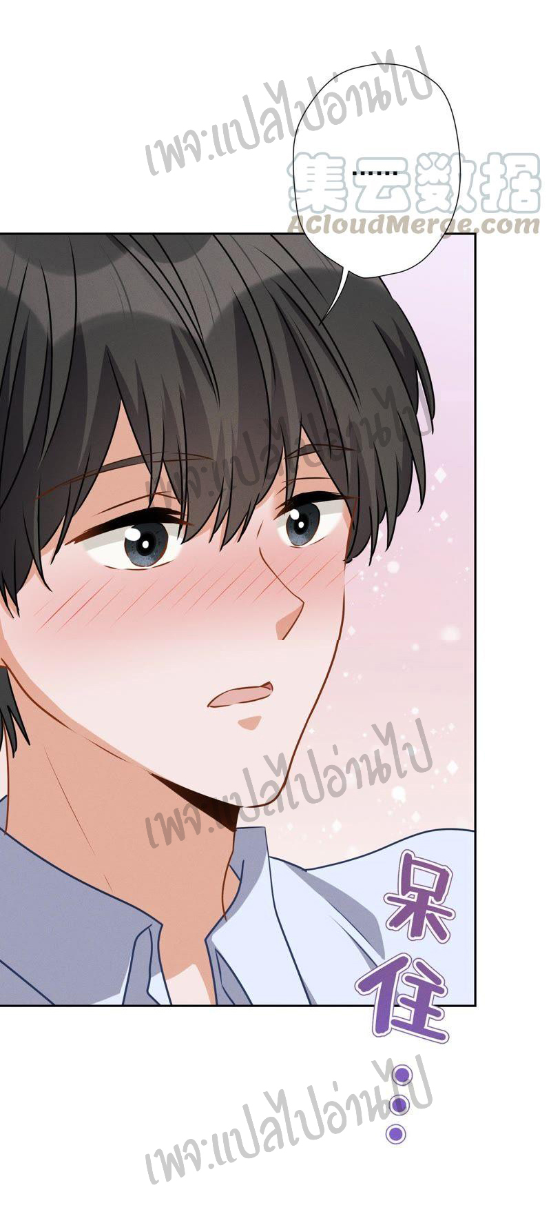 Lu Feng is the best son-in-law สุดยอดลูกเขย "ลู่เฟิง" ตอนที่ 9 หน้า 13