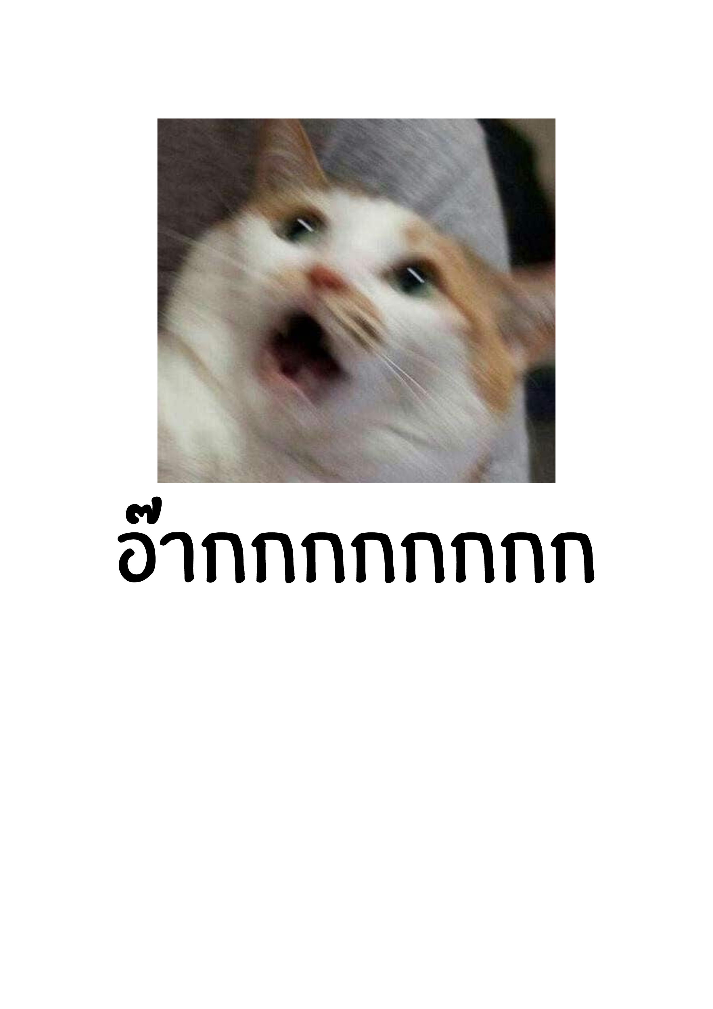 The Supreme Way ตอนที่ 75 หน้า 19