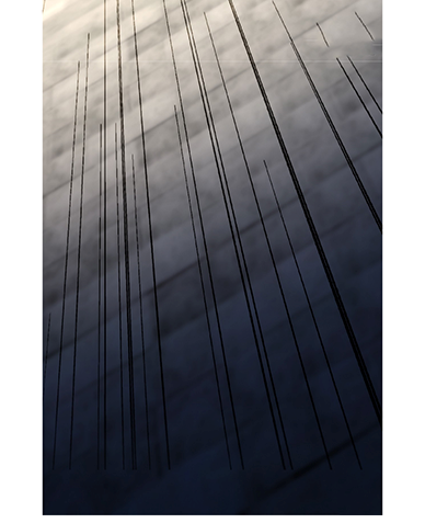 ลูกเขยผู้บ้าคลั่ง (จักรพรรดิอมตะ) ตอนที่ 8 หน้า 31