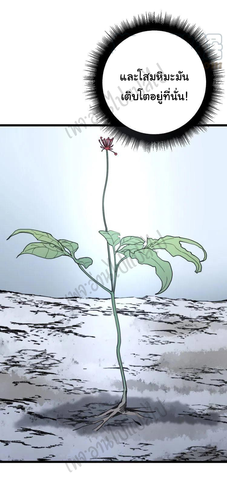 Bad Hand Witch Doctor สุดยอดพ่อมดหมอผี ตอนที่ 150 หน้า 19