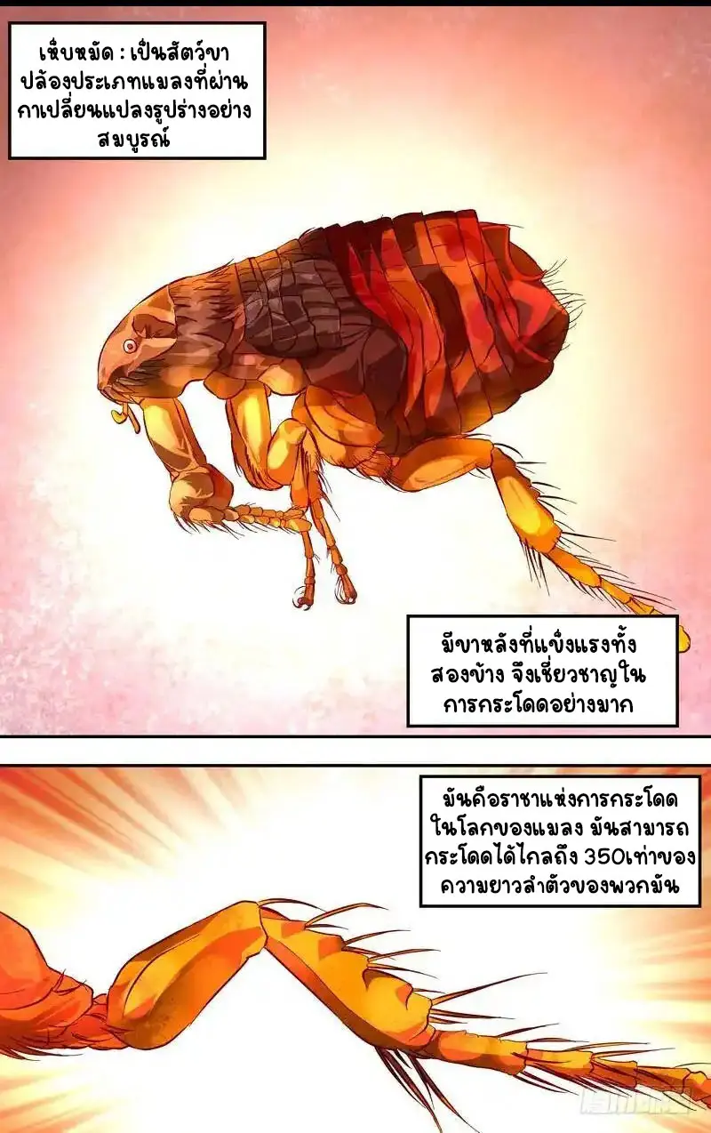  Metamorphosis ตอนที่ 17 หน้า 5