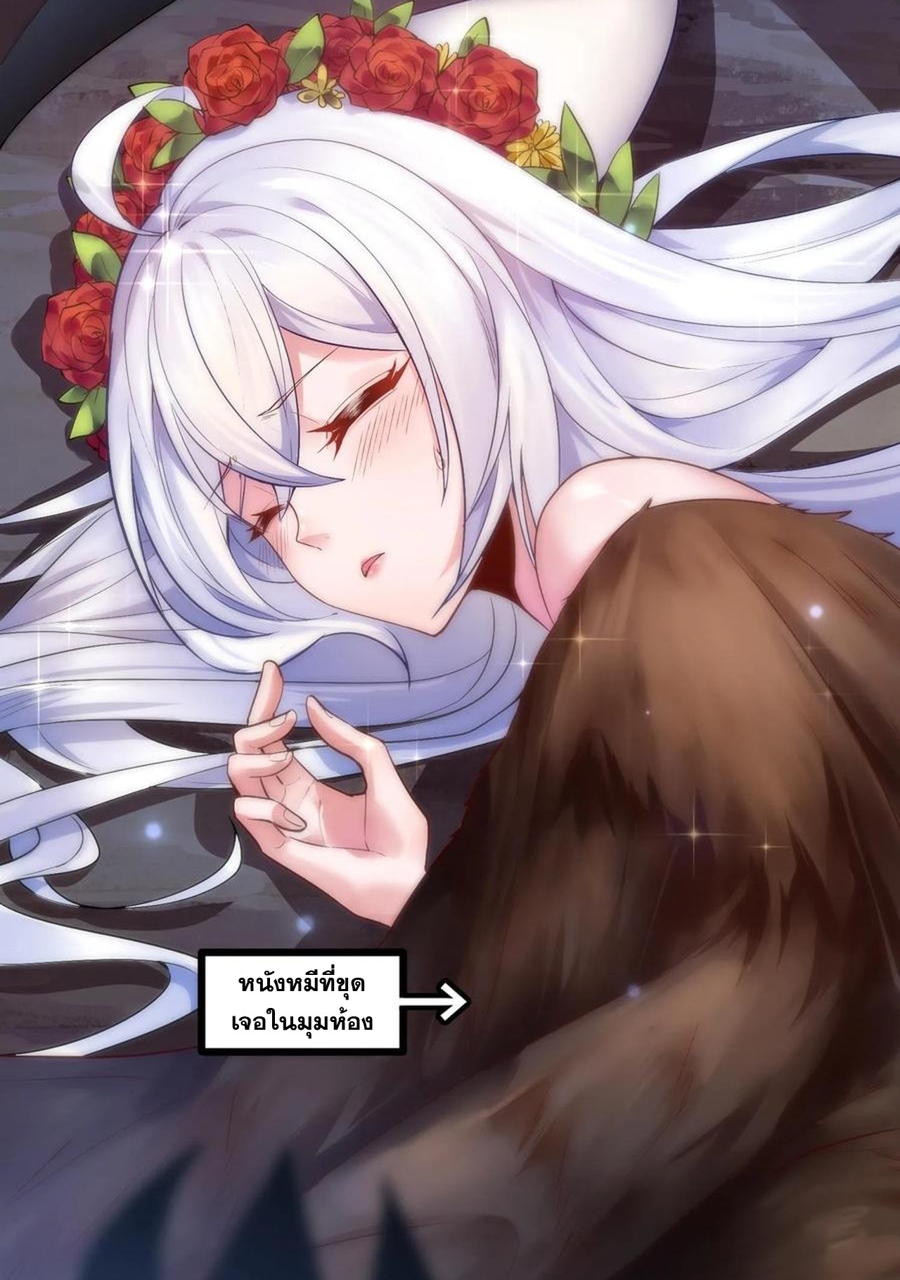 เกิดใหม่เป็นมังกรสายโหดพร้อมระบบรวบรวม NPC สาวสุดแกร่ง ตอนที่ 2 หน้า 16