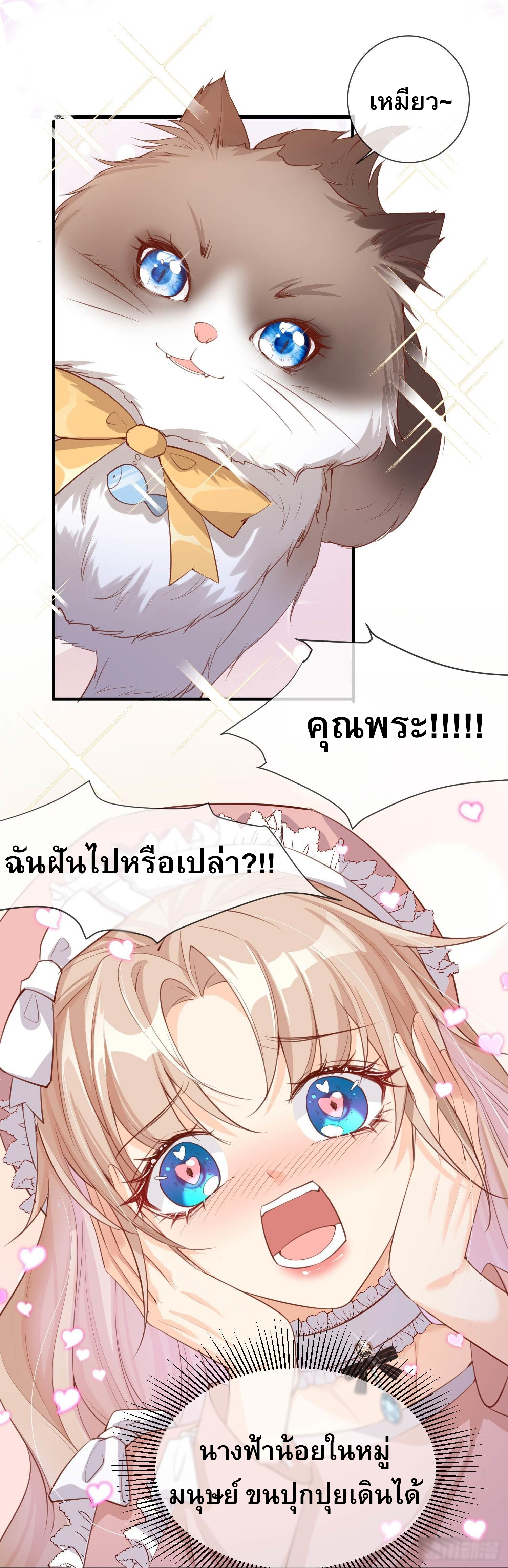 ดาราสาวเจ้าเสน่ห์กับนายเย็นชา ตอนที่ 3 หน้า 22