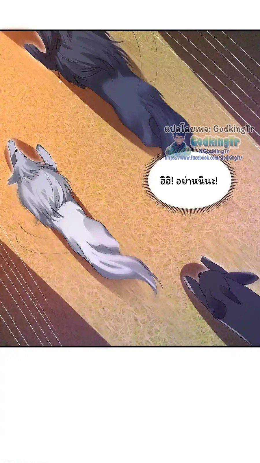 ระบบห้วงมิติกับการกักตุนเนื้อหมู 1 หมื่นตันก่อนวันสิ้นโลก ตอนที่ 95 หน้า 11