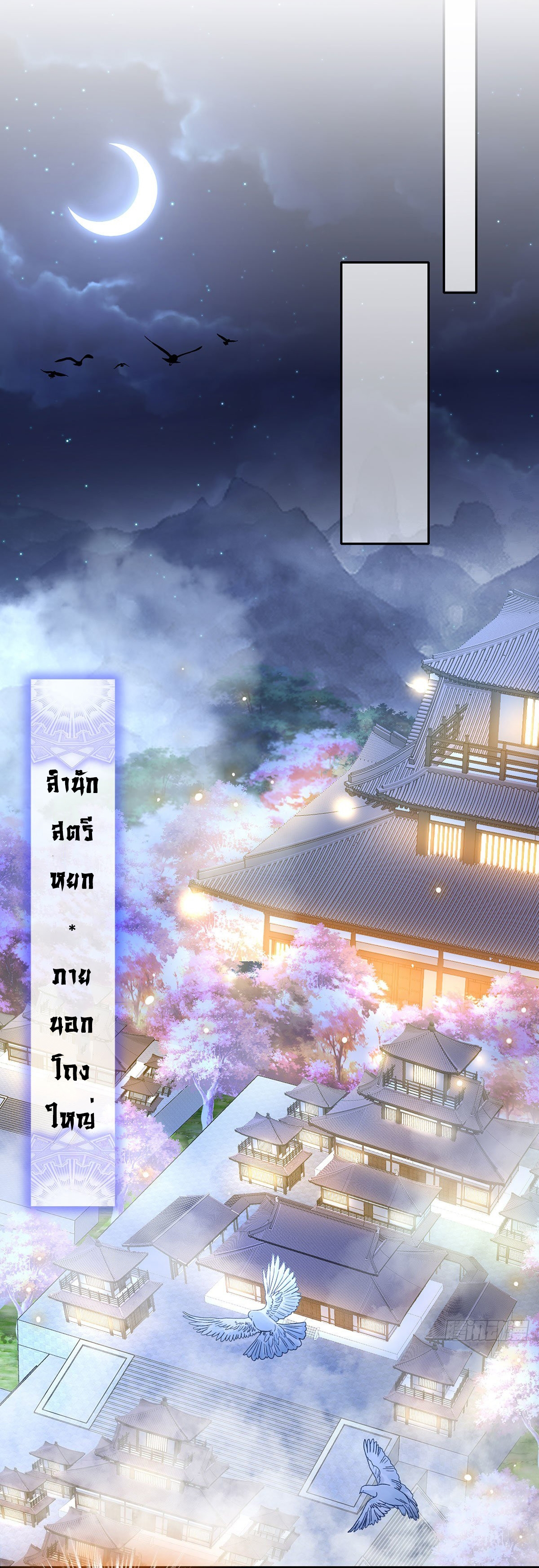 ปกป้องสำนักหญิงล้วนด้วยระบบเช็คอินสุดเทพ (ชนจีน) ตอนที่ 2 หน้า 11