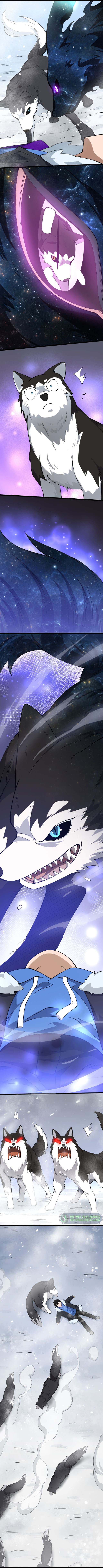 ระบบฝึกสัตว์วิญญาณหมาป่าปลอม ตอนที่ 2 หน้า 17