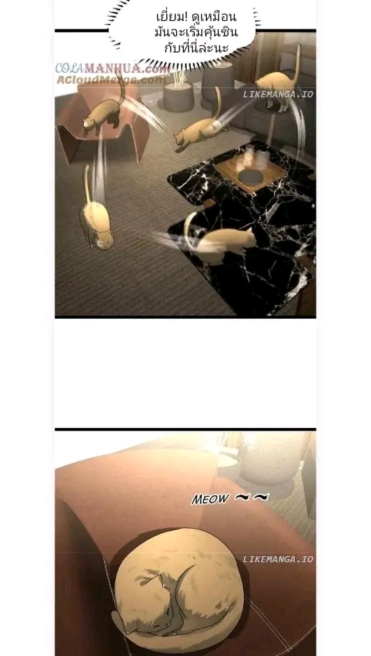 ฉันมีเซฟเฮาว์ในวันโลกาวินาศ ตอนที่ 172 หน้า 19