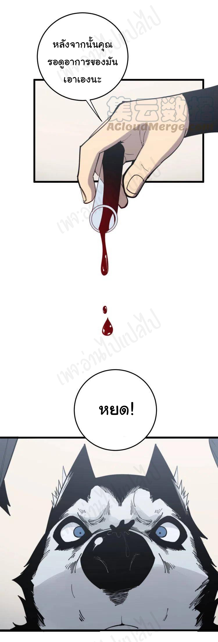 Bad Hand Witch Doctor สุดยอดพ่อมดหมอผี ตอนที่ 175 หน้า 29