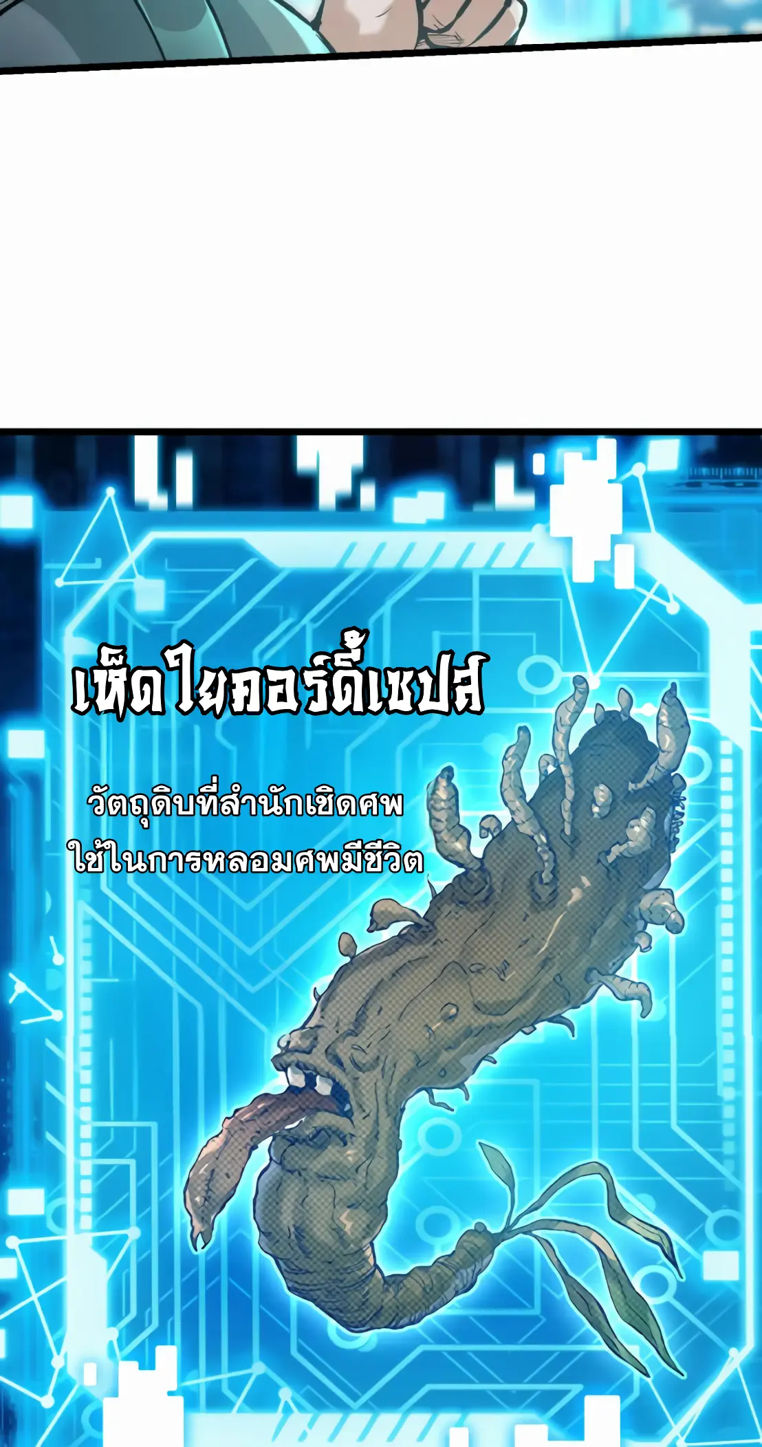 การบําเพ็ญเพียรเริ่มต้นจากการ ปลูกจักรพรรดินีปีศาจ ตอนที่ 5 หน้า 11