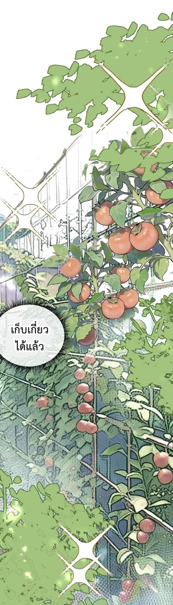 ซุปเปอร์ฟาร์ม ในโลกล่มสลาย -  SYSTEM Farmig Doomsday ตอนที่ 6 หน้า 10