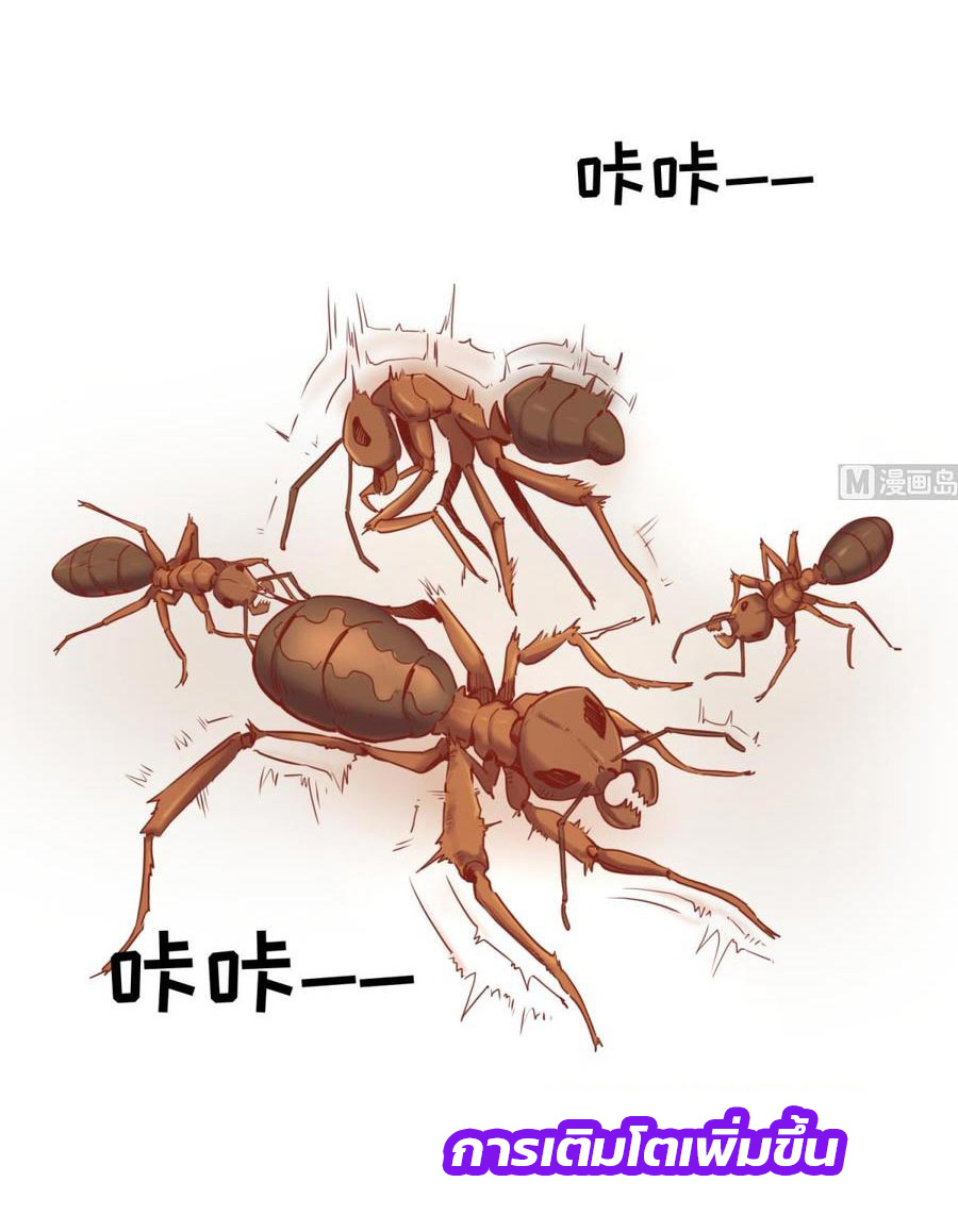 เทพเซียนหมอ ของยัยเทพธิดา ตอนที่ 14 หน้า 4